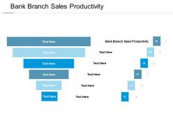 Bank branch sales productivity ppt powerpoint presentation pictures template cpb
