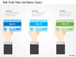 Bank credit policy and balance enquiry flat powerpoint design