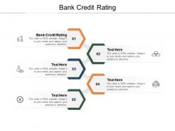 Bank credit rating ppt powerpoint presentation infographic template elements cpb