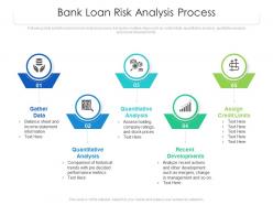 Bank loan risk analysis process
