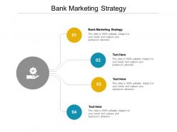 Bank marketing strategy ppt powerpoint presentation show background designs cpb