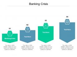 Banking crisis ppt powerpoint presentation pictures file formats cpb