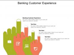 Banking customer experience ppt powerpoint presentation outline portfolio cpb