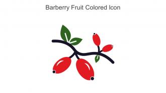 Barberry Fruit Colored Icon In Powerpoint Pptx Png And Editable Eps Format