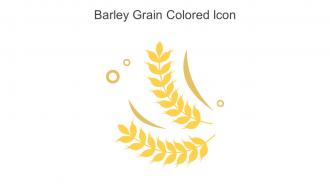 Barley Grain Colored Icon In Powerpoint Pptx Png And Editable Eps Format