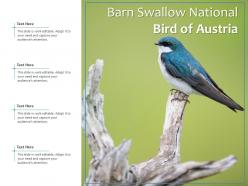 Barn swallow national bird of austria