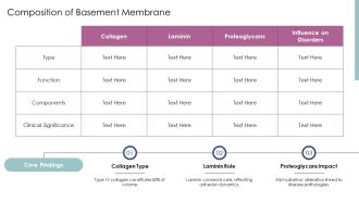 Basement Membrane And Epithelial Cell Junctions Explained PPT Slides AT Ideas Good
