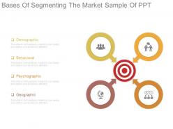 Bases of segmenting the market sample of ppt