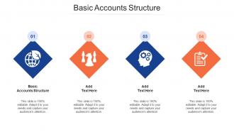 Basic Accounts Structure Ppt Powerpoint Presentation Model Show Cpb
