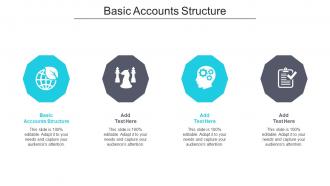 Basic Accounts Structure Ppt Powerpoint Presentation Professional Model Cpb