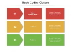 Basic coding classes ppt powerpoint presentation styles example topics cpb