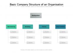 Basic company structure of an organisation