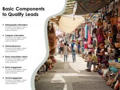 Basic components to qualify leads