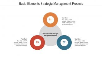 Basic elements strategic management process ppt powerpoint presentation show cpb