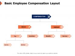 Basic employee compensation layout incentives ppt powerpoint presentation icon