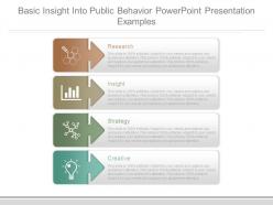 Basic insight into public behavior powerpoint presentation examples
