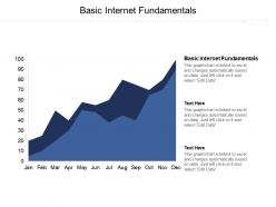 Basic internet fundamentals ppt powerpoint presentation file designs cpb
