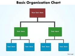 Basic organization chart editable 5