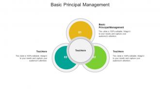 Basic principal management ppt powerpoint presentation pictures outfit cpb