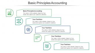Basic principles accounting ppt powerpoint presentation layouts icons cpb