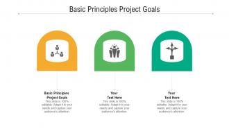 Basic principles project goals ppt powerpoint presentation infographic template portrait cpb