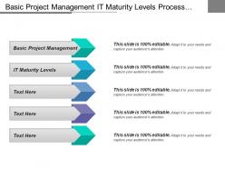 Basic project management it maturity levels process standardization