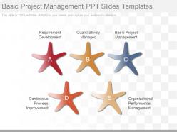 Basic project management ppt slides templates