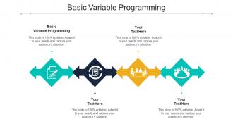 Basic Variable Programming Ppt Powerpoint Presentation Infographic Template Slides Cpb