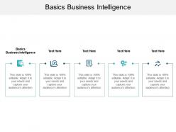 Basics business intelligence ppt powerpoint presentation portfolio icons cpb