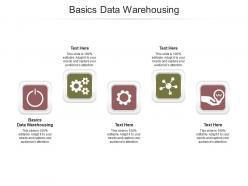 Basics data warehousing ppt powerpoint presentation infographics ideas cpb