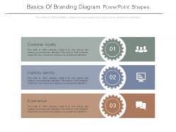 Basics of branding diagram powerpoint shapes