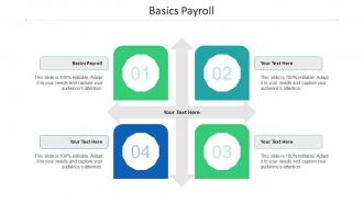 Basics Payroll Ppt Powerpoint Presentation Summary Tips Cpb