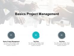 Basics project management ppt powerpoint presentation gallery cpb