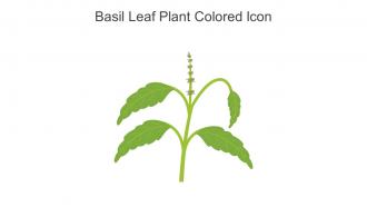 Basil Leaf Plant Colored Icon In Powerpoint Pptx Png And Editable Eps Format