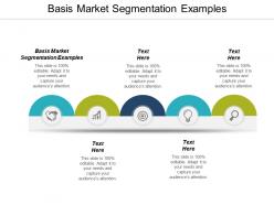 Basis market segmentation examples ppt powerpoint presentation pictures examples cpb