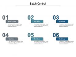 Batch control ppt powerpoint presentation show guidelines cpb