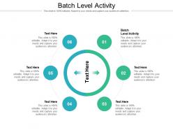 Batch level activity ppt powerpoint presentation ideas outline cpb