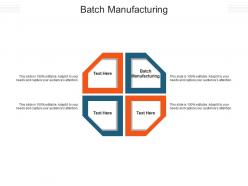 Batch manufacturing ppt powerpoint presentation layouts diagrams cpb