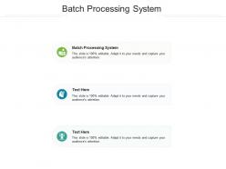 Batch processing system ppt powerpoint presentation infographic template deck cpb