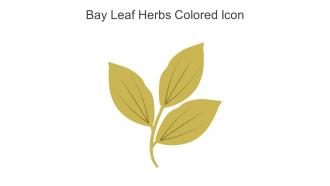 Bay Leaf Herbs Colored Icon In Powerpoint Pptx Png And Editable Eps Format