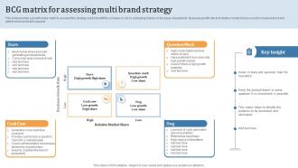Bcg Matrix For Assessing Multi Brand Strategy