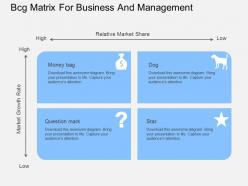 Bcg matrix for business and management flat powerpoint desgin