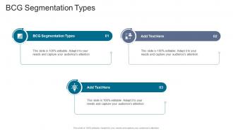 BCG Segmentation Types In Powerpoint And Google Slides Cpb