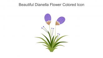Beautiful Dianella Flower Colored Icon In Powerpoint Pptx Png And Editable Eps Format