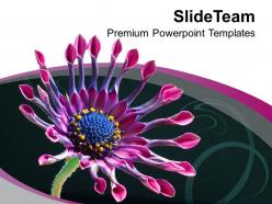 Beautiful flower background theme powerpoint templates ppt themes and graphics 0513