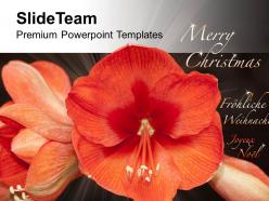 Beautiful Flowers For Wishes Merry Christmas PowerPoint Templates PPT Themes And Graphics 0513