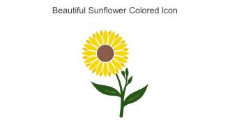Beautiful Sunflower Colored Icon In Powerpoint Pptx Png And Editable Eps Format