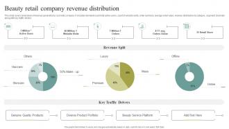 Beauty Retail Company Revenue Distribution