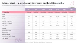Beauty Salon Business Plan Balance Sheet In Depth Analysis Of Assets And Liabilities BP SS Best Images