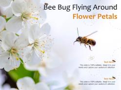 Bee Bug Flying Around Flower Petals
